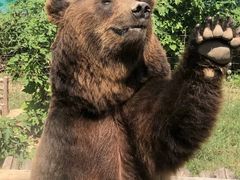 -济南野生动物世界