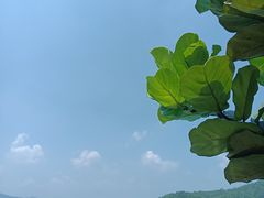-清远熹乐谷温泉度假酒店