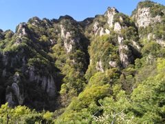 -王顺山国家森林公园