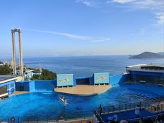 -香港海洋公园