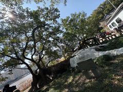 -江心屿景区