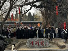 -大槐树寻根祭祖园