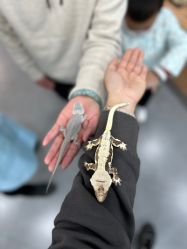 -Moni星球萌宠·小马宝莉·灵蛇·高端高阶全萌宠互动体验俱乐部(红豆国际广场店)