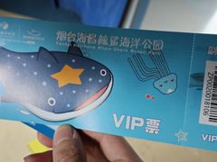 -烟台海昌鲸鲨海洋公园