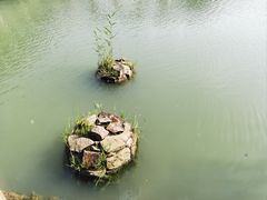 -乌村