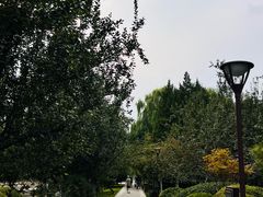 -元大都城垣遗址公园