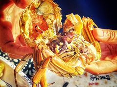 -小陆莲花蟹园农家乐(莲花岛店)