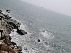 -广东惠东海龟国家级自然保护区