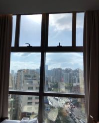 点击看大图 -宝生月子中心(民治店)