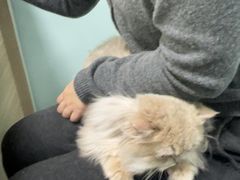 -嘉馨宠物医院·CT影像转诊·心脏科·犬猫全科诊疗中心(下沙大学城院区)