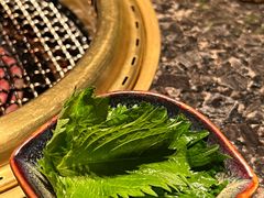 -老乾杯和牛烧肉(王府中环店)