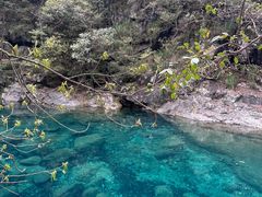 -石台牯牛降景区