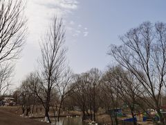 -稻香湖景欢乐岛温泉城堡