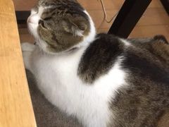 -Summer House夏莫手工坊团建活动(世博源店)