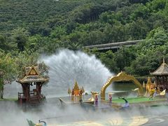 -西双版纳原始森林公园