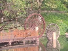 -重庆彩云湖湿地公园