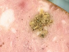 -哈尔滨秋林食品有限责任公司(秋林公司店)
