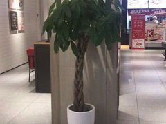 -肯德基(胜利店)