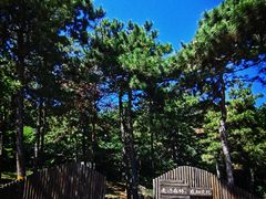 -北京西山国家森林公园