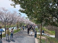 -长田漾湿地公园