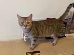-H立方实景剧情密室(天河旗舰店)