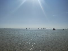 -北海金海湾红树林生态旅游区