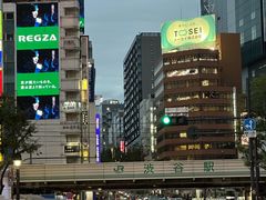 -涩谷全向十字路口