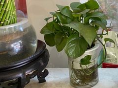 -清真·二嫂子煎饼果子(鼓楼旗舰形象店)