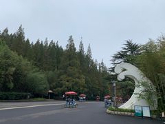 -日照海滨国家森林公园