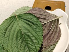 -丰茂烤串(公园店)