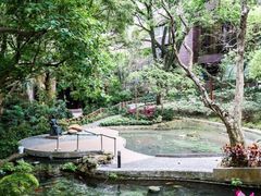 -香港大学