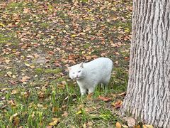 -东华大学(松江校区)