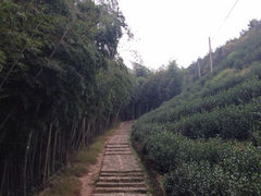 -径山寺