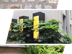-徐家汇源景区-衡山坊