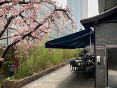 -桂满陇天书(南京德基旗舰店)
