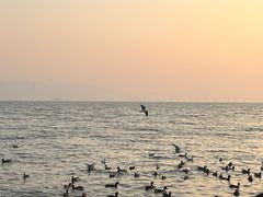 -深圳湾公园(南山区)