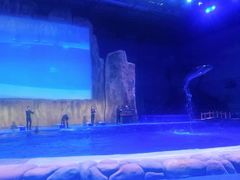 -华夏文旅海洋公园