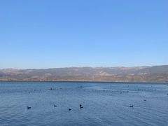-西昌邛海湿地