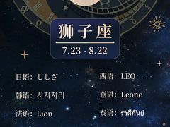 -槿言教育·雅思托福·国际教育·小语种培训留学中心(观音桥店)