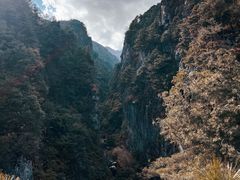 -苍山感通索道