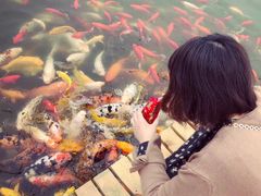 -重元寺香积厨素斋馆