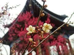 -紫霞湖公园