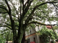 -苏州大学(天赐庄校区)