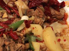 -巴依老爷新疆美食(望京小街店)