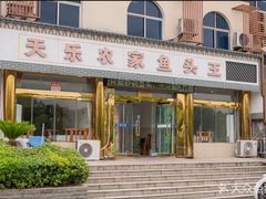 -天乐农家鱼头王(天目湖店)