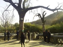 android_upload_pic-习家池