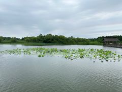 -溱湖国家湿地公园