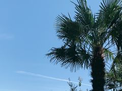 -上海美帆帆船露营基地