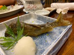 -加奈日本料理