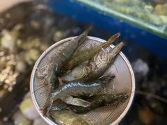 -海玥荟海鲜姿造自助餐厅(欧罗巴广场店)